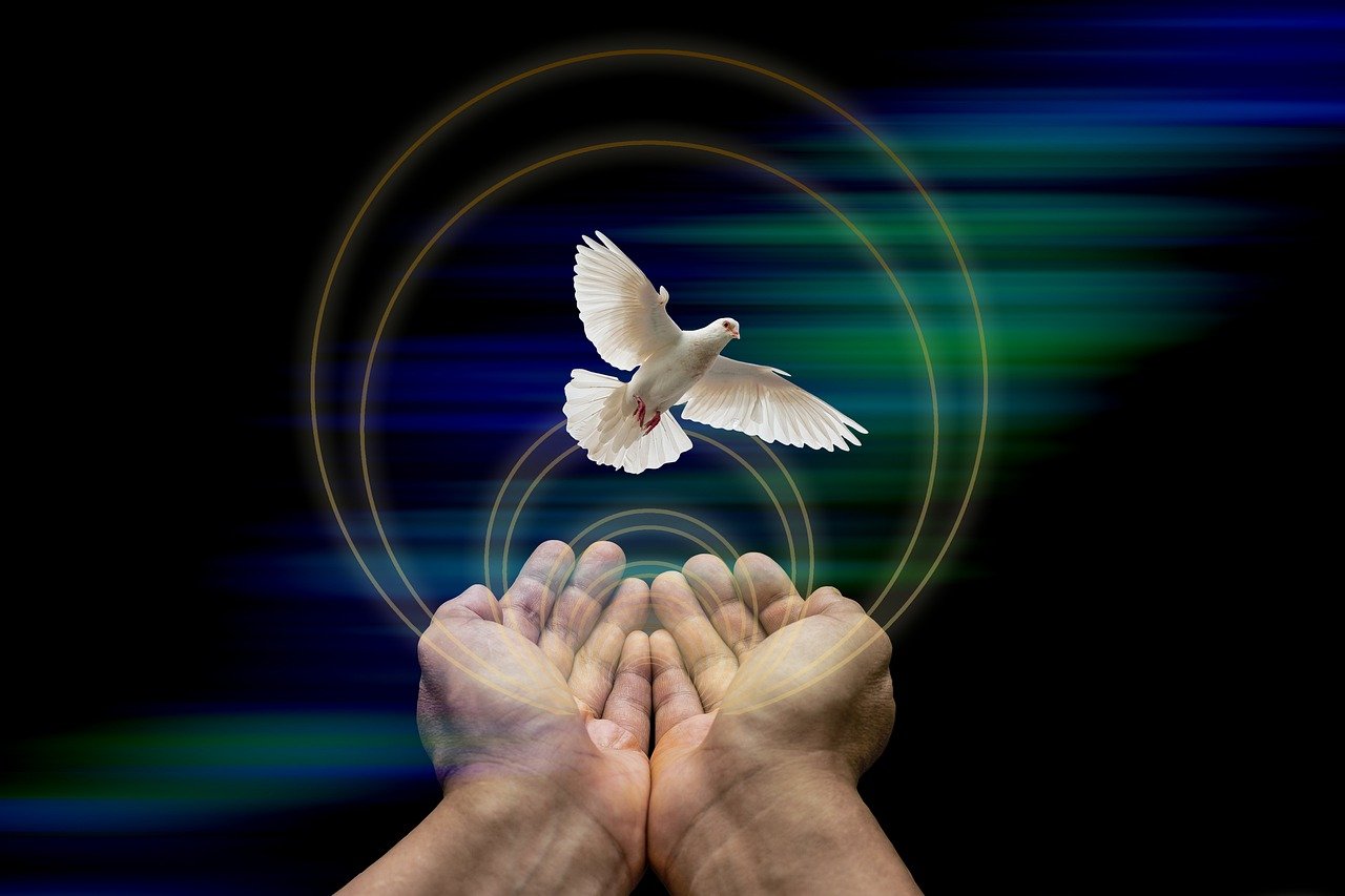 dove, peace, hands, nature, flying, peace dove, bird, symbol, world peace, bokeh, background, dove, dove, peace, peace, peace, peace, peace, world peace